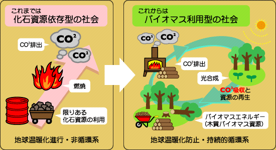 バイオマスエネルギー説明図